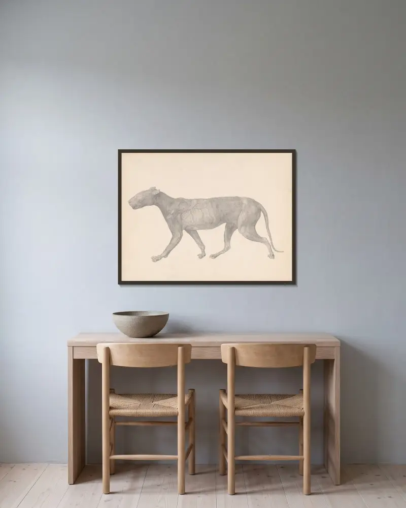 Tiger i sidovy, med hud och vävnad borttagen av George Stubbs inramad på en vägg