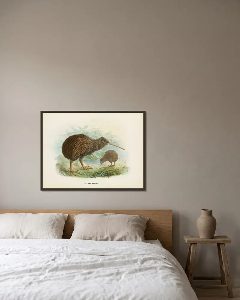 Apteryx mantellii, John Gerrard Keulemans v rámu na stěně