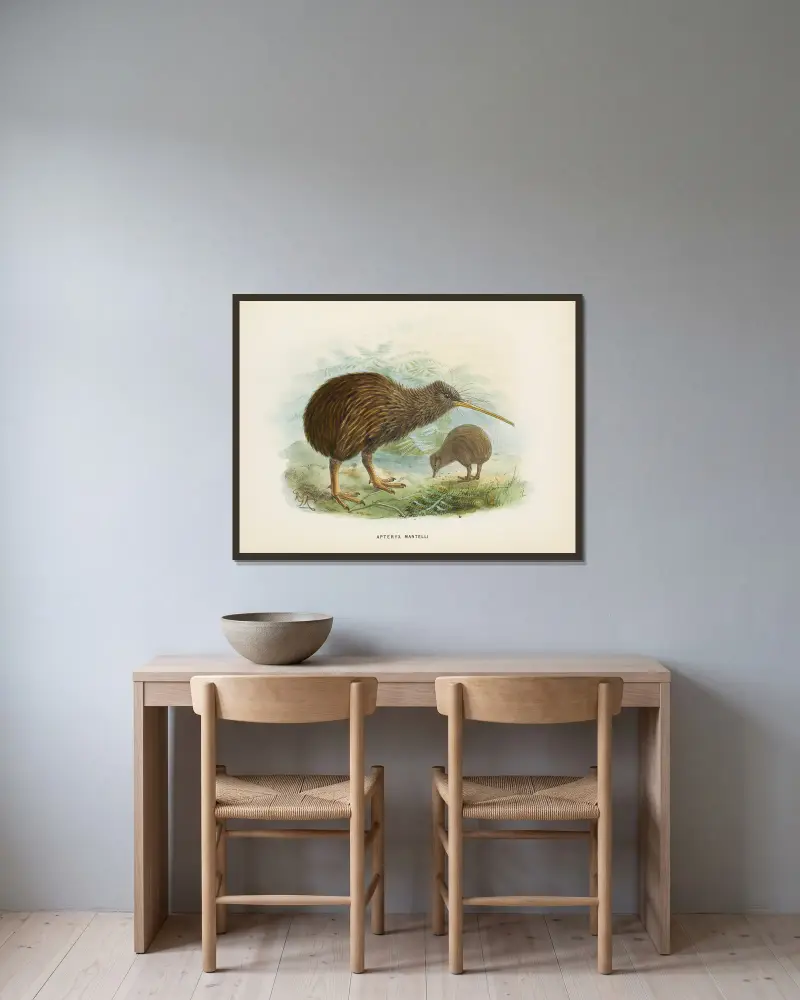 Apteryx mantellii, John Gerrard Keulemans v rámu na stěně