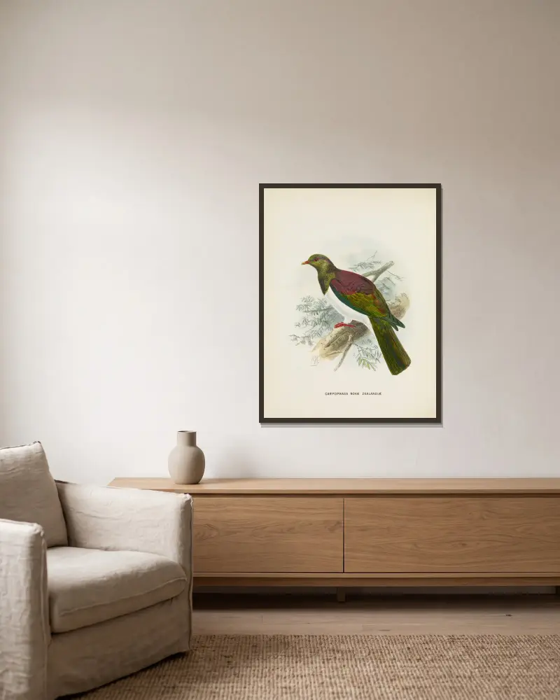 Carpophaga novae zealandiae av John Gerrard Keulemans inramad på en vägg