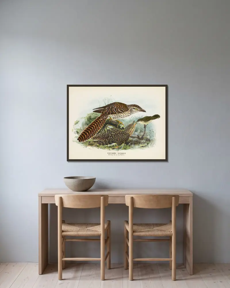 Eudynamis taitensis (Der Jungvogel, gefüttert von einem Grausänger) von John Gerrard Keulemans gerahmt an einer Wand