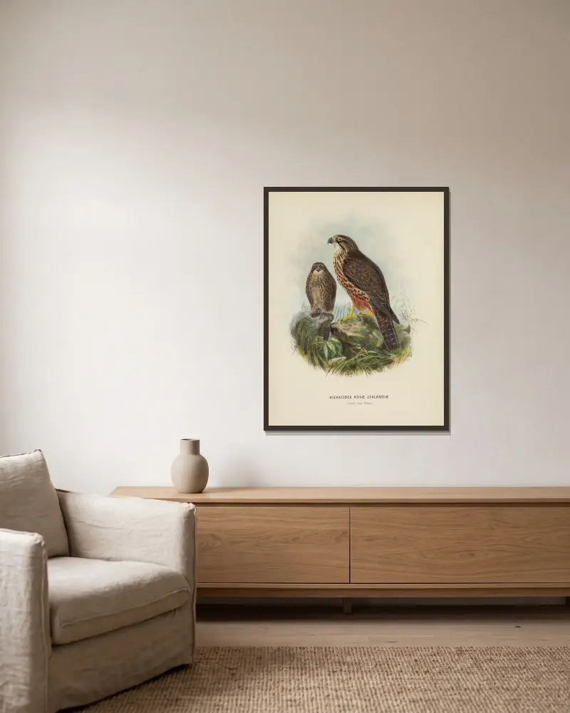 Hieracidea Novae Zealandiae (vuxen och unge) av John Gerrard Keulemans inramad på en vägg
