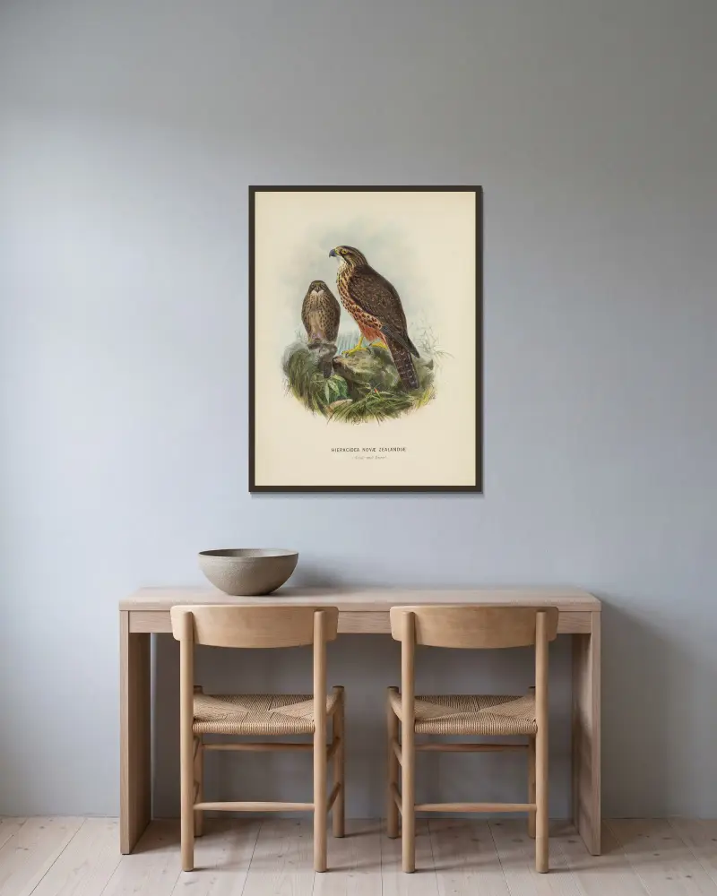 Hieracidea Novae Zealandiae (vuxen och unge) av John Gerrard Keulemans inramad på en vägg