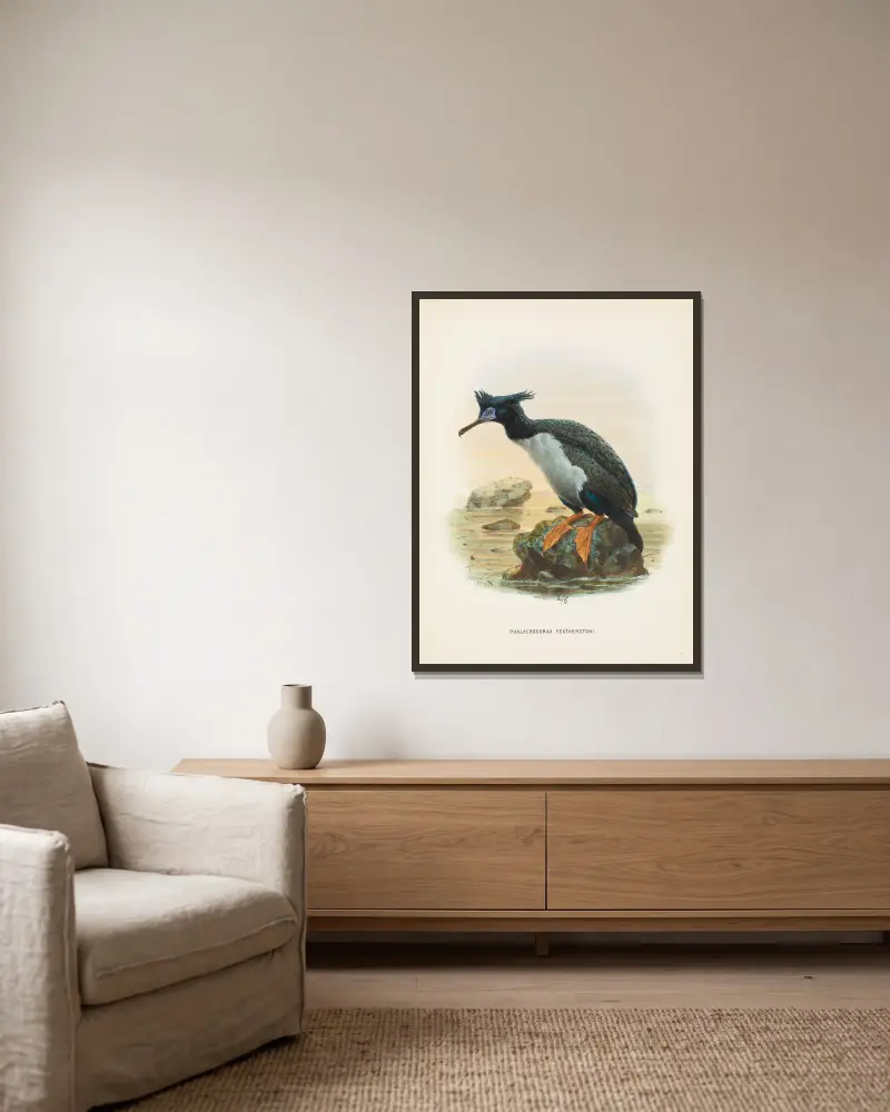 Phalacrocorax featherstoni, John Gerrard Keulemans v rámu na stěně