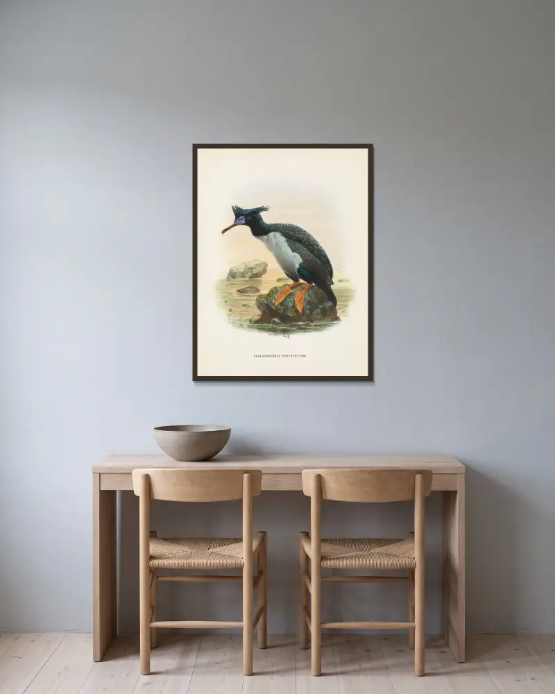 Phalacrocorax featherstoni, John Gerrard Keulemans v rámu na stěně