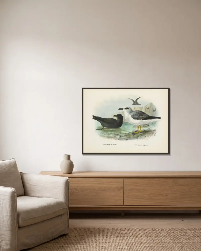 Procellaria fuliginosa und Procellaria lessoni von John Gerrard Keulemans gerahmt an einer Wand