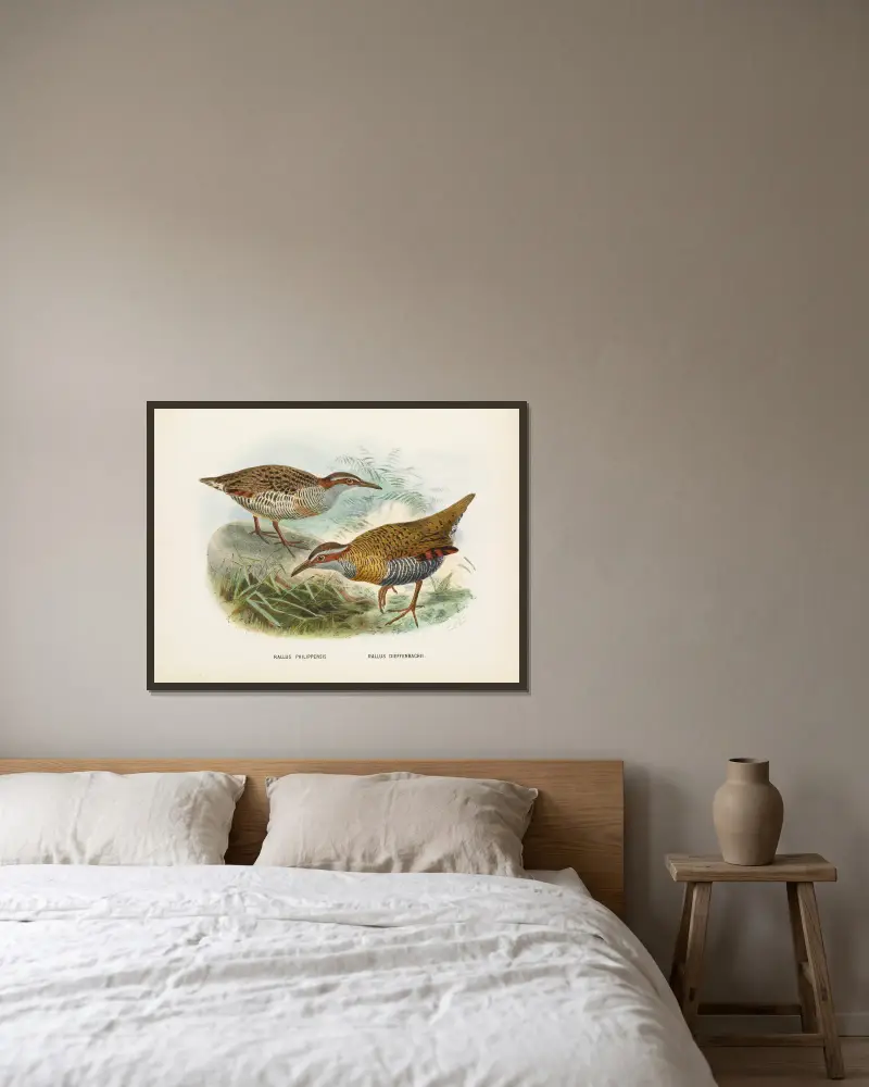 Rallus philipensis och Rallus dieffenbachii av John Gerrard Keulemans inramad på en vägg