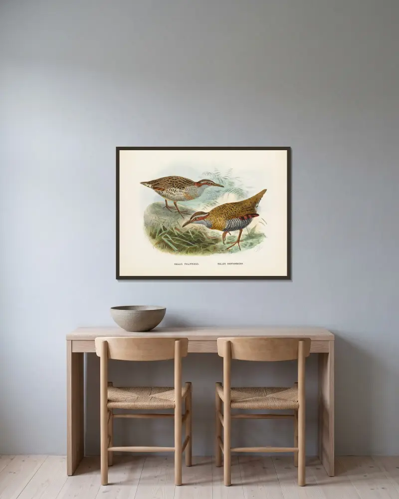 Rallus philipensis och Rallus dieffenbachii av John Gerrard Keulemans inramad på en vägg