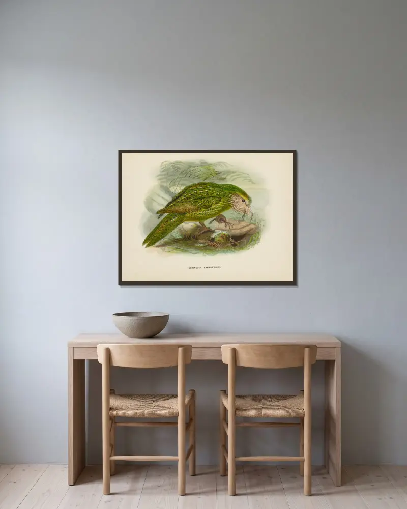 Stringops habroptilus von John Gerrard Keulemans gerahmt an einer Wand