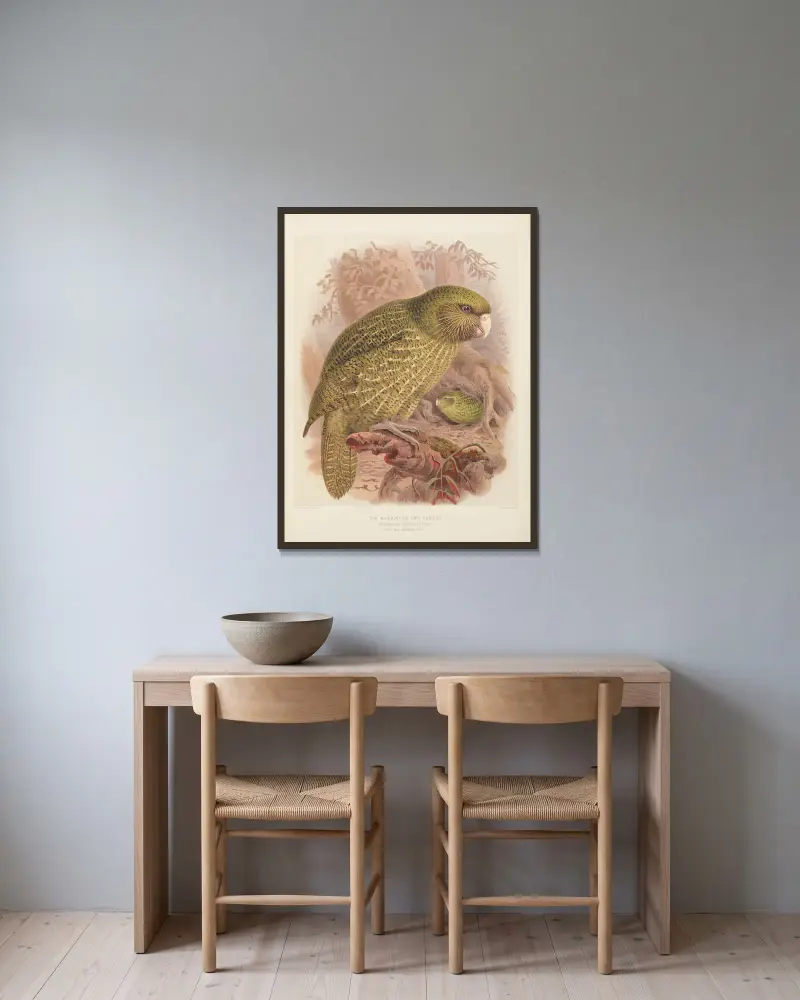 Der Kakapo oder Eulenpapagei Stringops Habroptilus von John Gerrard Keulemans gerahmt an einer Wand