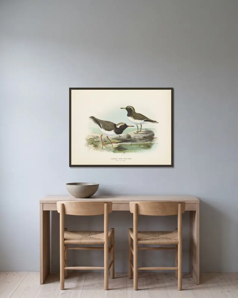 Thinornis nove zealandiae (Altvogel und Jungvogel) von John Gerrard Keulemans gerahmt an einer Wand