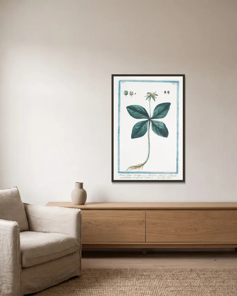 Herba Paris – Solanum quadrifolium, bacciferum – Erba Pari (Ormbär) av Giorgio Bonelli inramad på en vägg