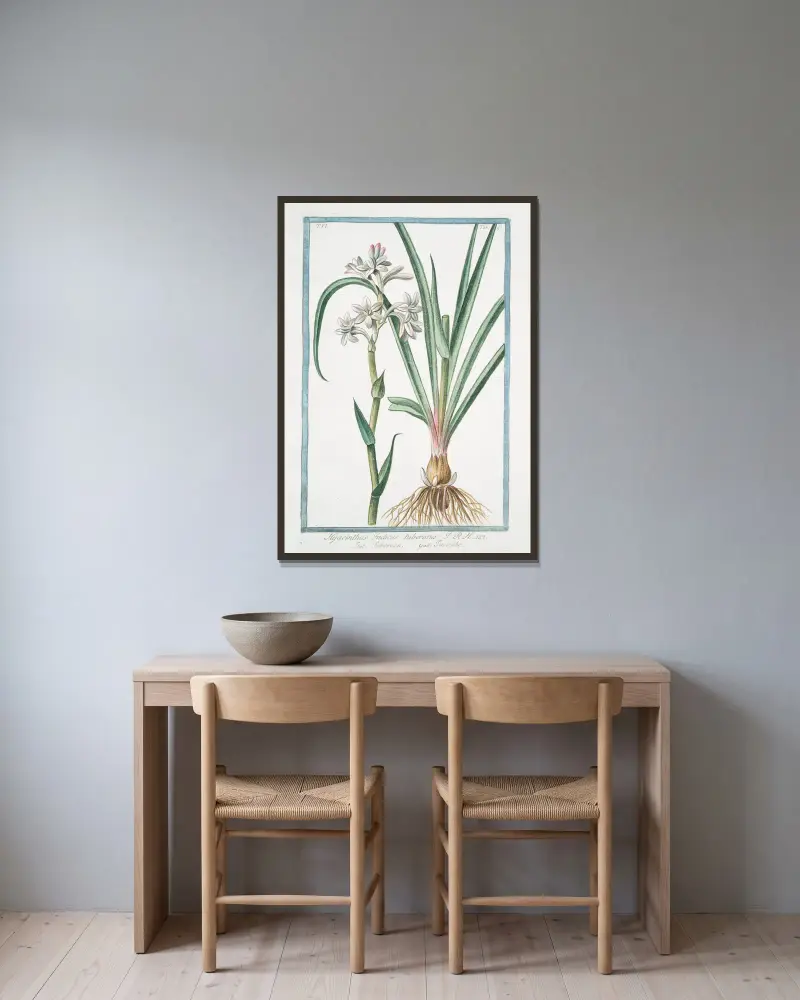 Hyacinthus Indicus tuberosus – Tuberoso – Iacinthe (Hyacinth from India) av Giorgio Bonelli inramad på en vägg