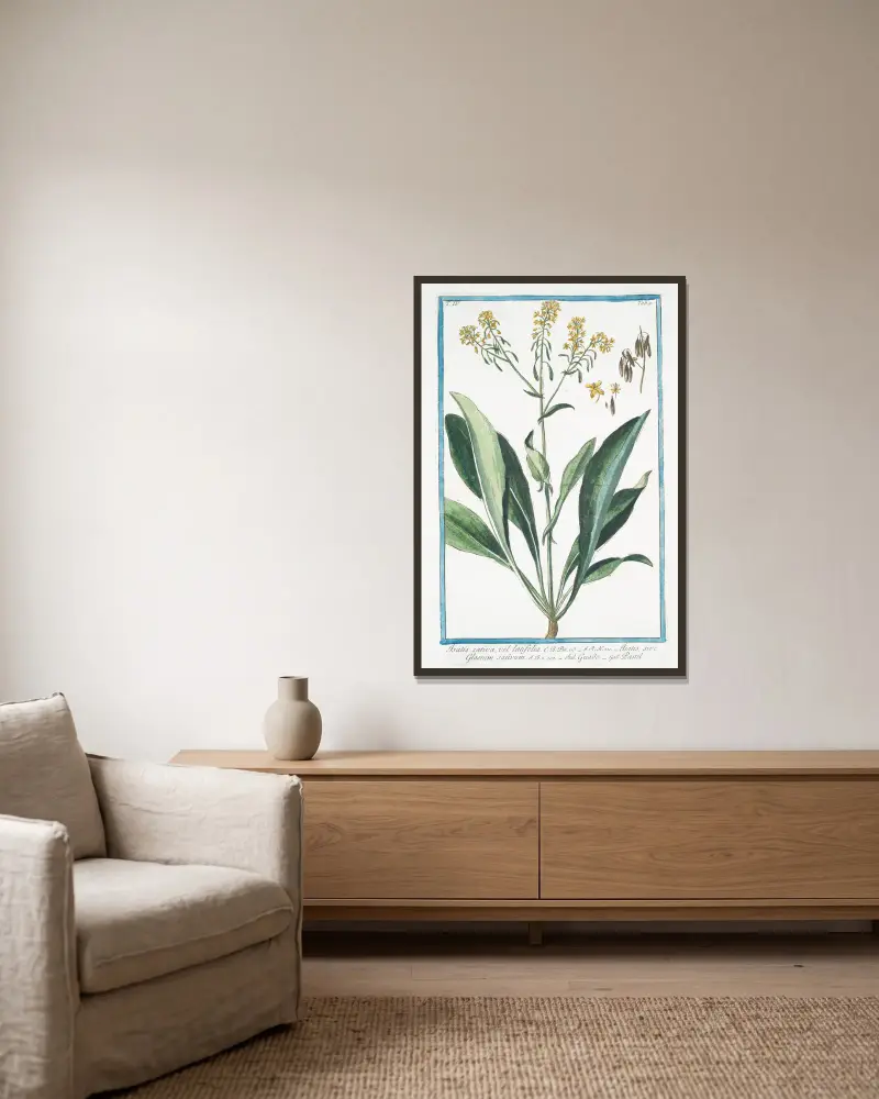 Isatis sativa, vel latifolia – Isatis, sive Glastum sativum – Guado – Pastel (Vejde) av Giorgio Bonelli inramad på en vägg