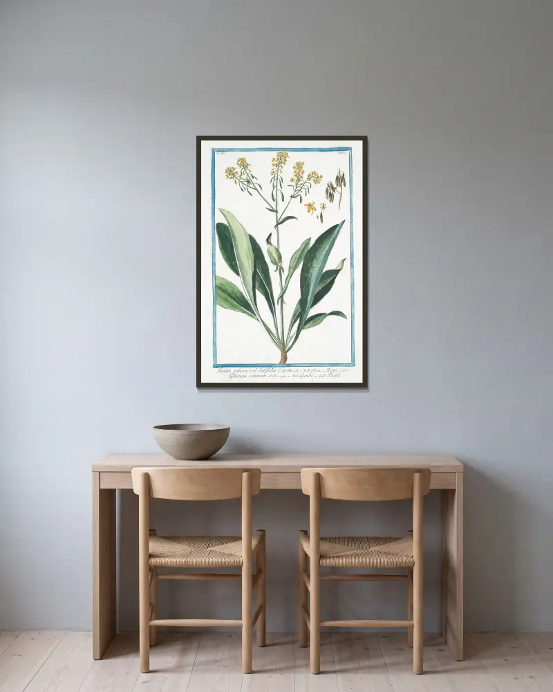 Isatis sativa, vel latifolia – Isatis, sive Glastum sativum – Guado – Pastel (Vejde) av Giorgio Bonelli inramad på en vägg