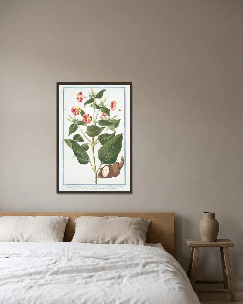 Jalapa, blomma med blandat purpur och gult – Nattens jasmin – Nattens skönhet med gul- och purpurfärgade blad av Giorgio Bonelli inramad på en vägg