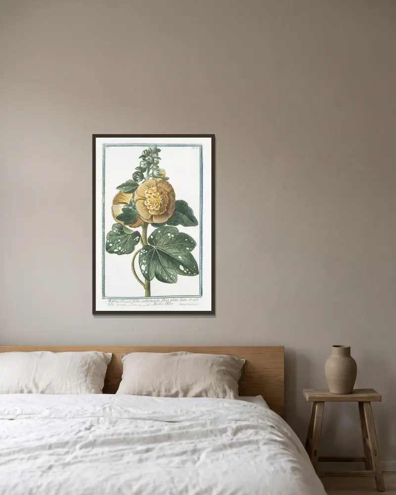 Malva Rosea, folio subrotundo, flore pleno luteo; et subluteo – Mauve Rose av Giorgio Bonelli inramad på en vägg