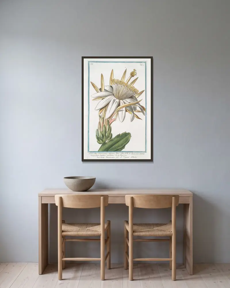 Melocactus Americanus trigonus flore albo – Cereo Americano – Le figuier o’Inde (Cactus melon) av Giorgio Bonelli inramad på en vägg