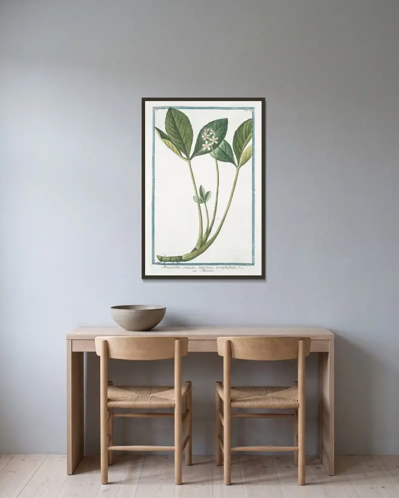 Menyanthes palustre, latifolium, et triphhyllum – Meniante von Giorgio Bonelli gerahmt an einer Wand