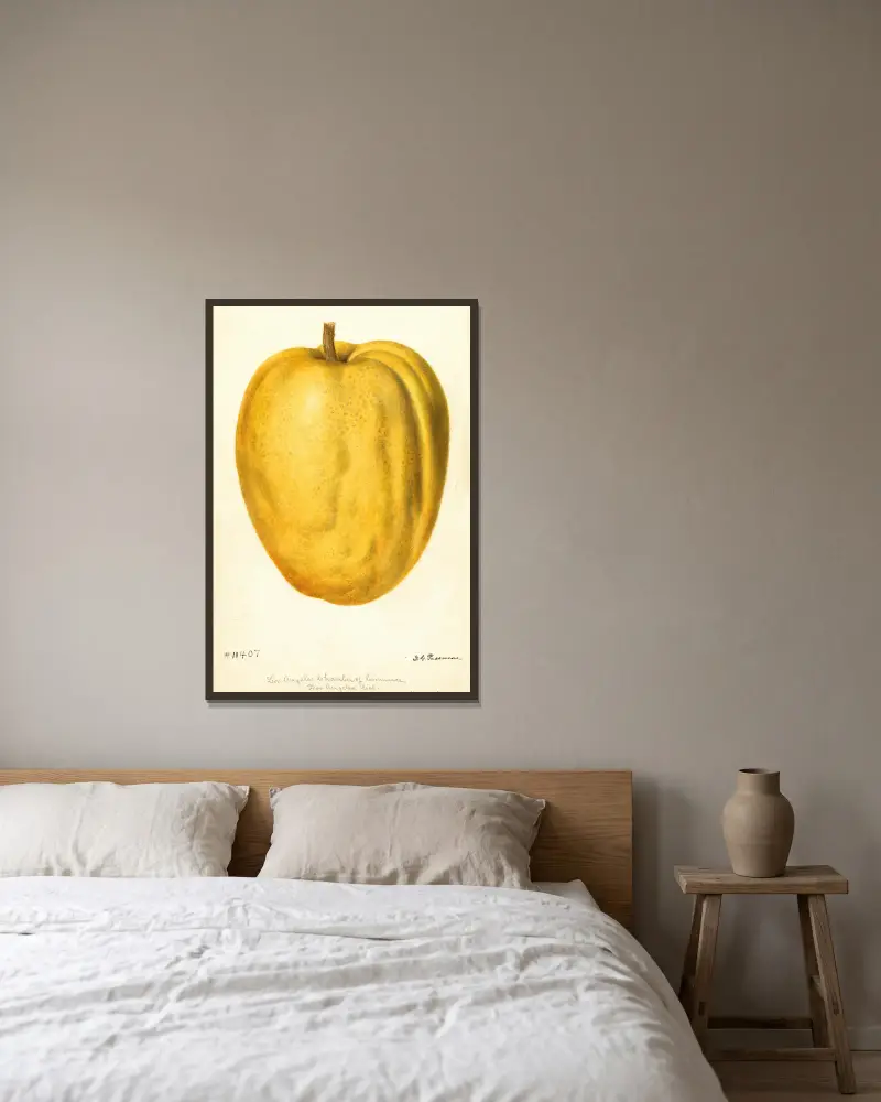 Citrus medica: Citron of Commerce, 1896 – nr 2 av Deborah Griscom Passmore inramad på en vägg