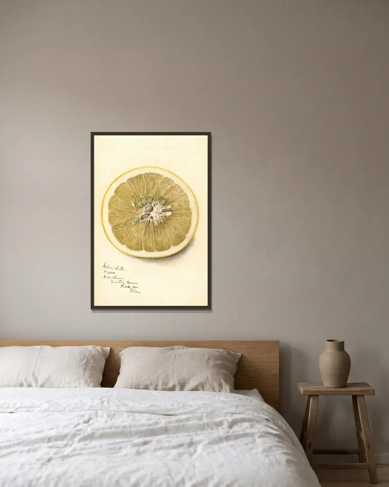 Citrus paradisi: Silver Cluster, Deborah Griscom Passmore w ramie na ścianie
