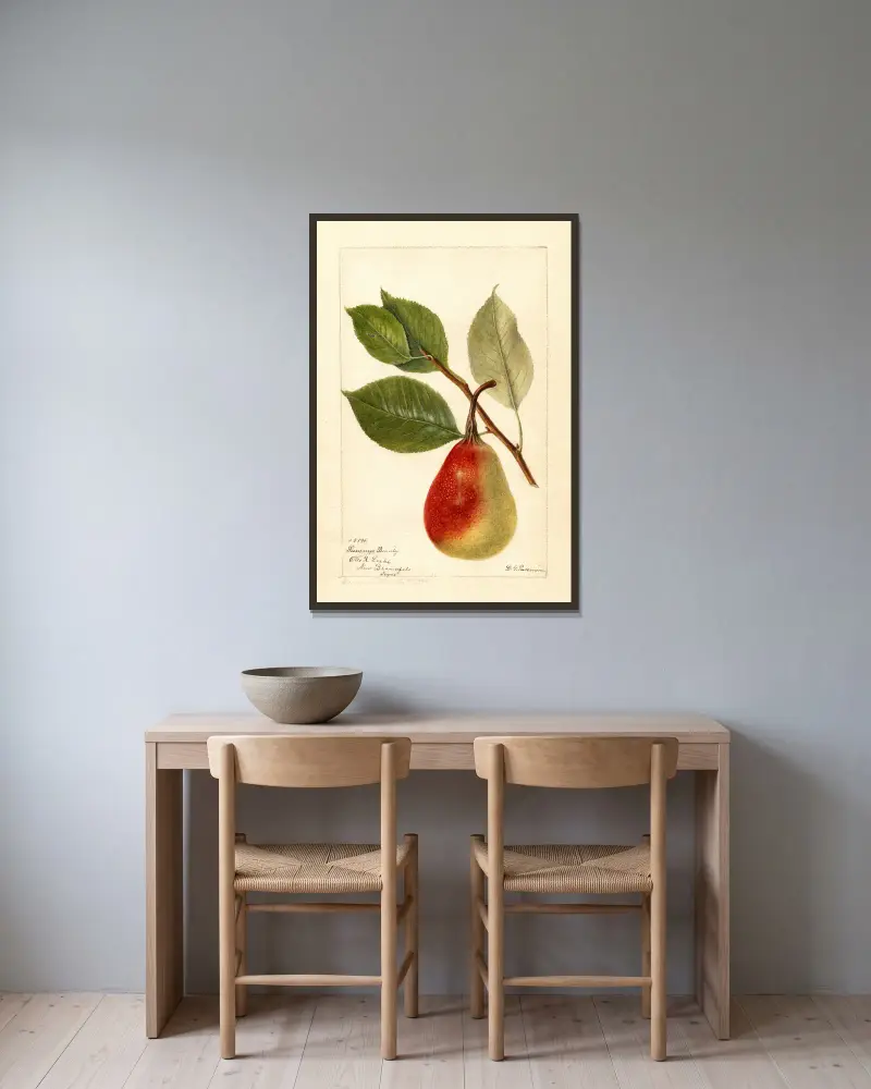 Pyrus communis: Summer Beauty av Deborah Griscom Passmore inramad på en vägg