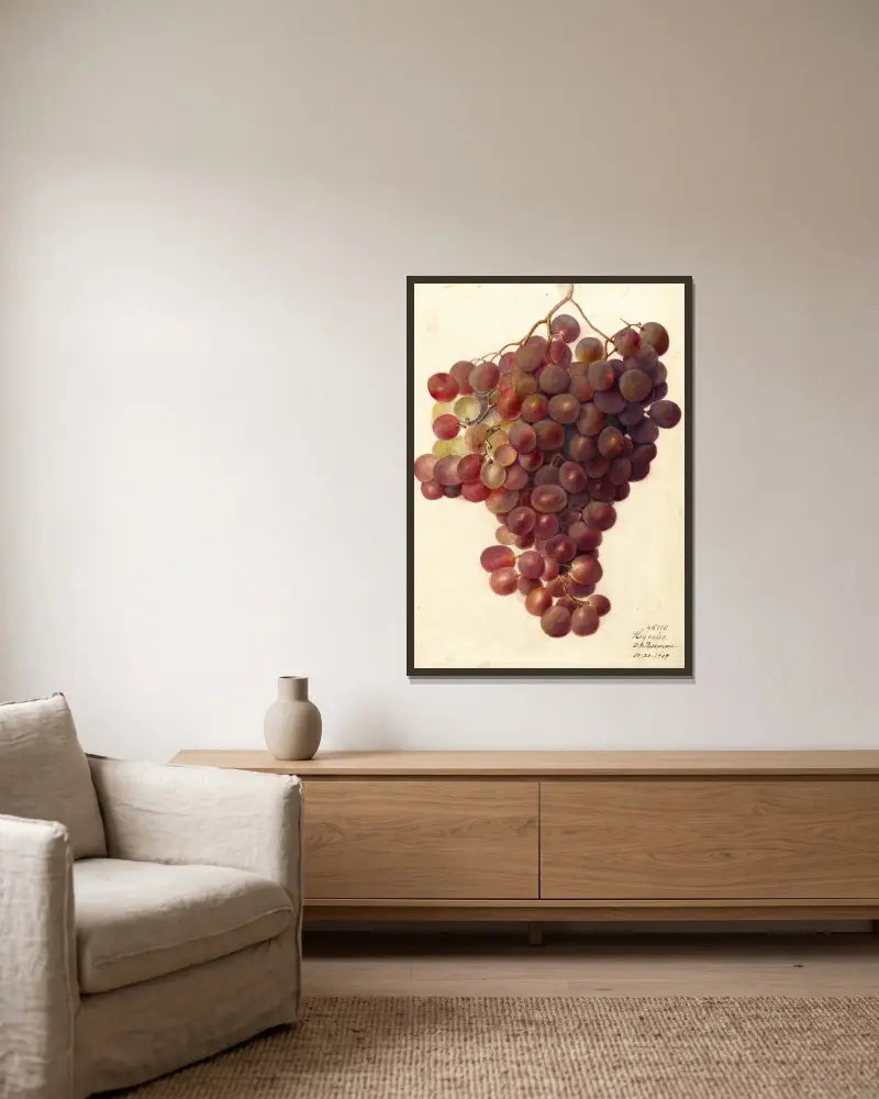 Vitis: Hycales, Deborah Griscom Passmore w ramie na ścianie