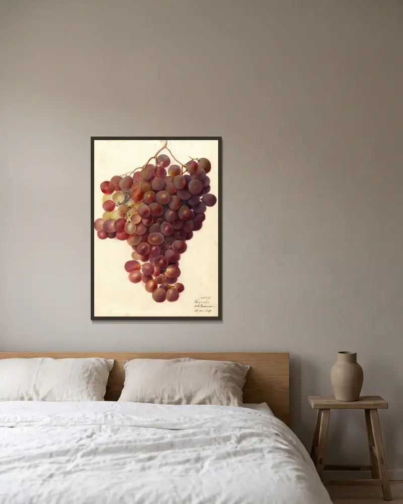 Vitis: Hycales, Deborah Griscom Passmore w ramie na ścianie