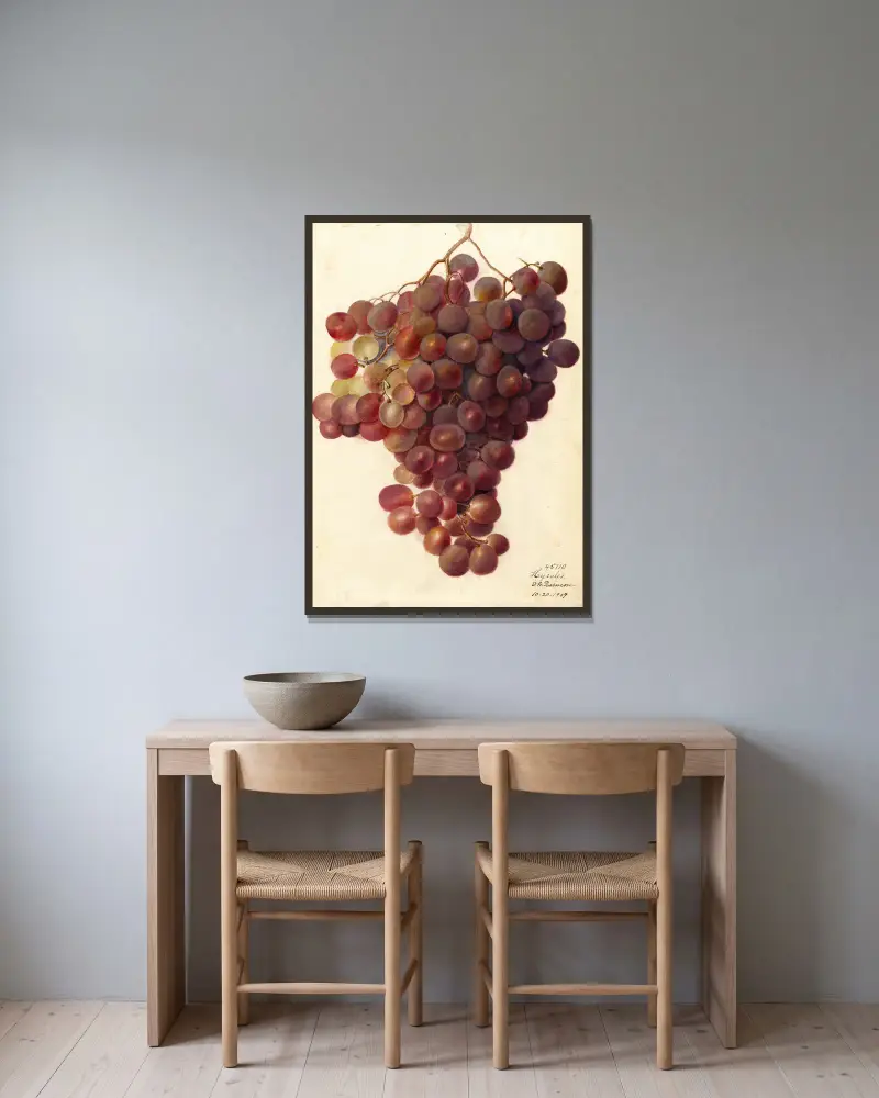 Vitis: Hycales, Deborah Griscom Passmore w ramie na ścianie