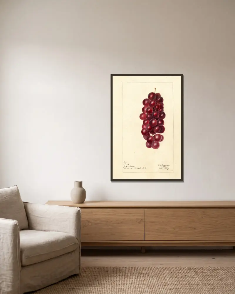 Vitis: Jacob Moore, Deborah Griscom Passmore w ramie na ścianie