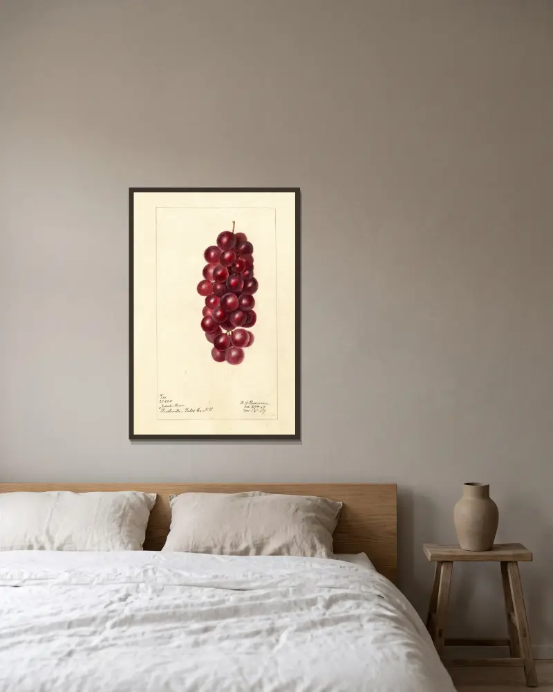 Vitis: Jacob Moore, Deborah Griscom Passmore w ramie na ścianie