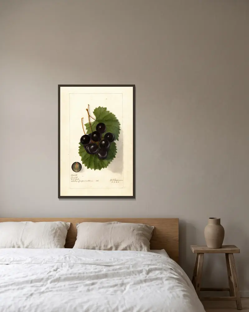 Vitis: James, Deborah Griscom Passmore w ramie na ścianie