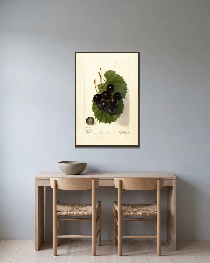 Vitis: James, Deborah Griscom Passmore w ramie na ścianie