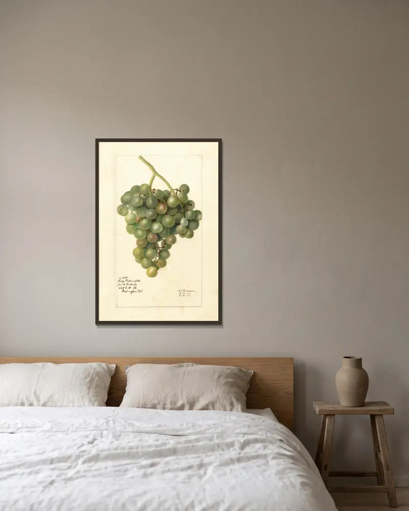 Vitis: Lady Washington, Deborah Griscom Passmore w ramie na ścianie