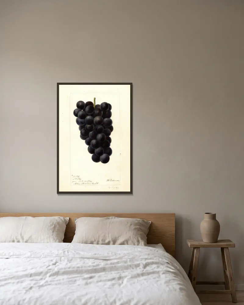 Vitis: McPike, Deborah Griscom Passmore w ramie na ścianie