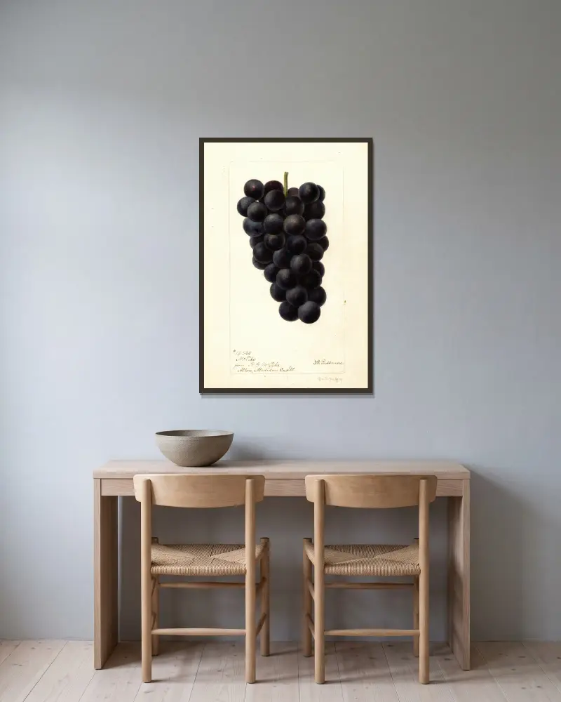 Vitis: McPike, Deborah Griscom Passmore w ramie na ścianie