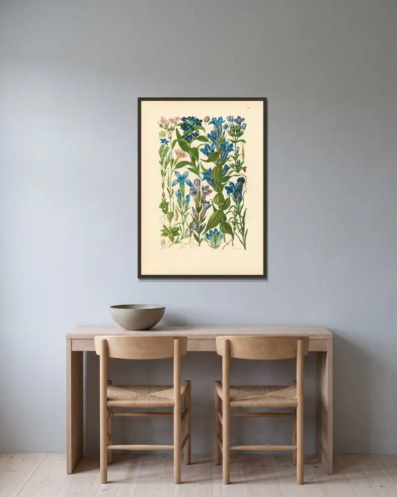 Ilustrowana flora Europy Środkowej, tabl. 215, Gustav Hegi w ramie na ścianie