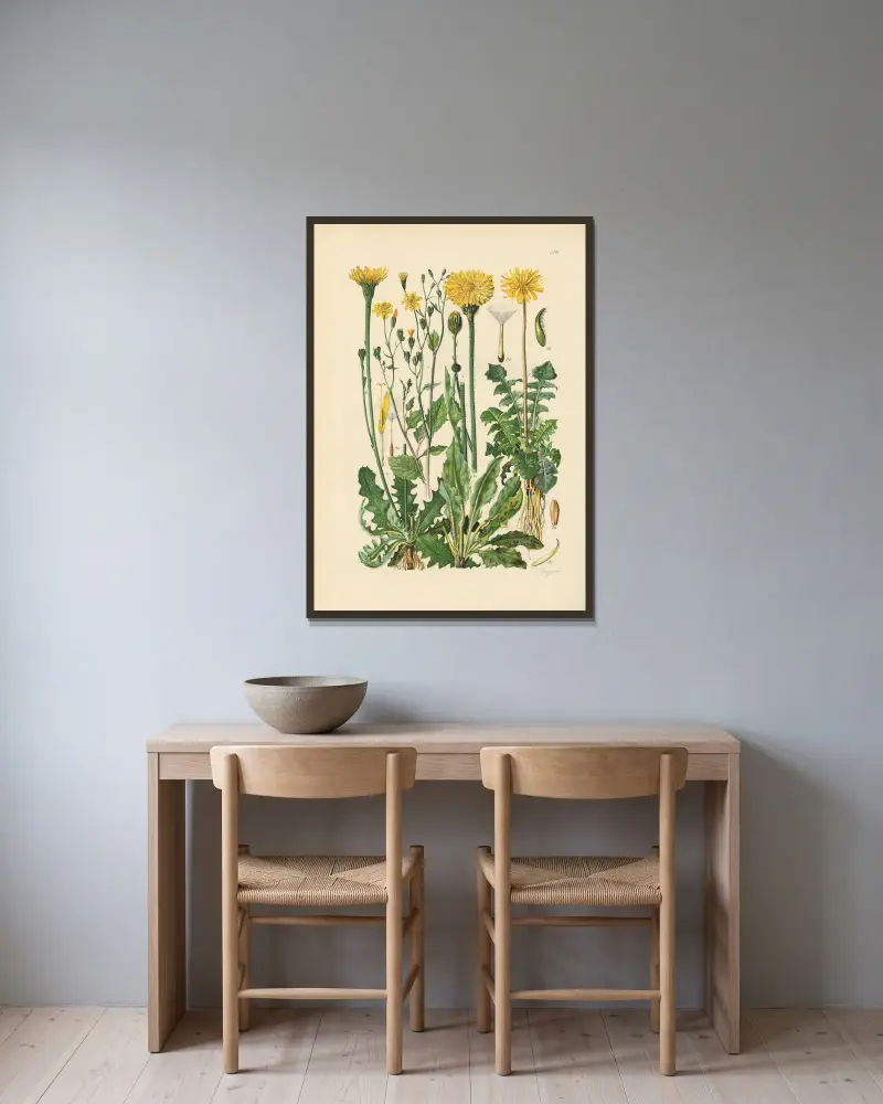 Illustrerad flora över Centraleuropa, plansch 274 av Gustav Hegi inramad på en vägg