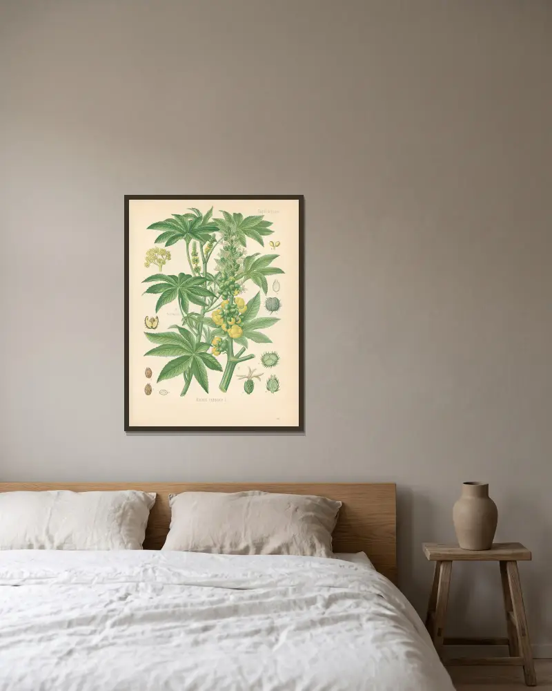 Ricinus communis von Gustav Pabst gerahmt an einer Wand