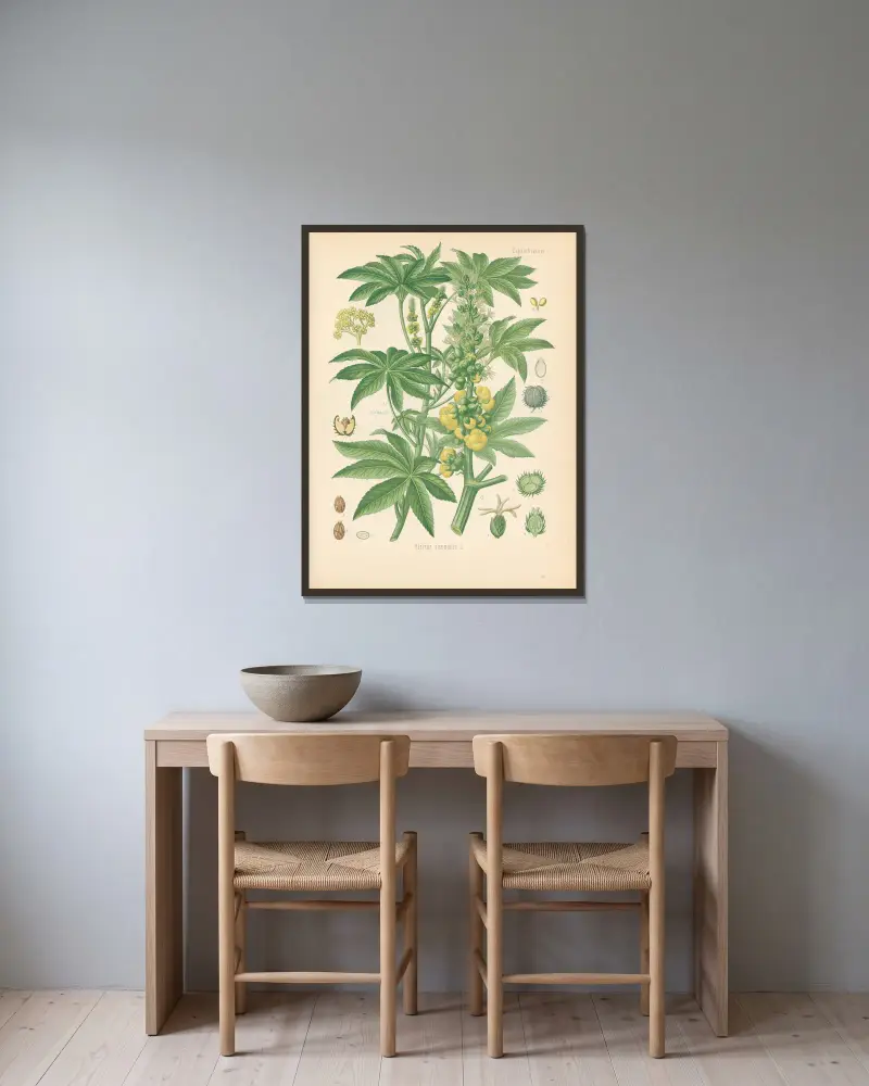 Ricinus communis von Gustav Pabst gerahmt an einer Wand