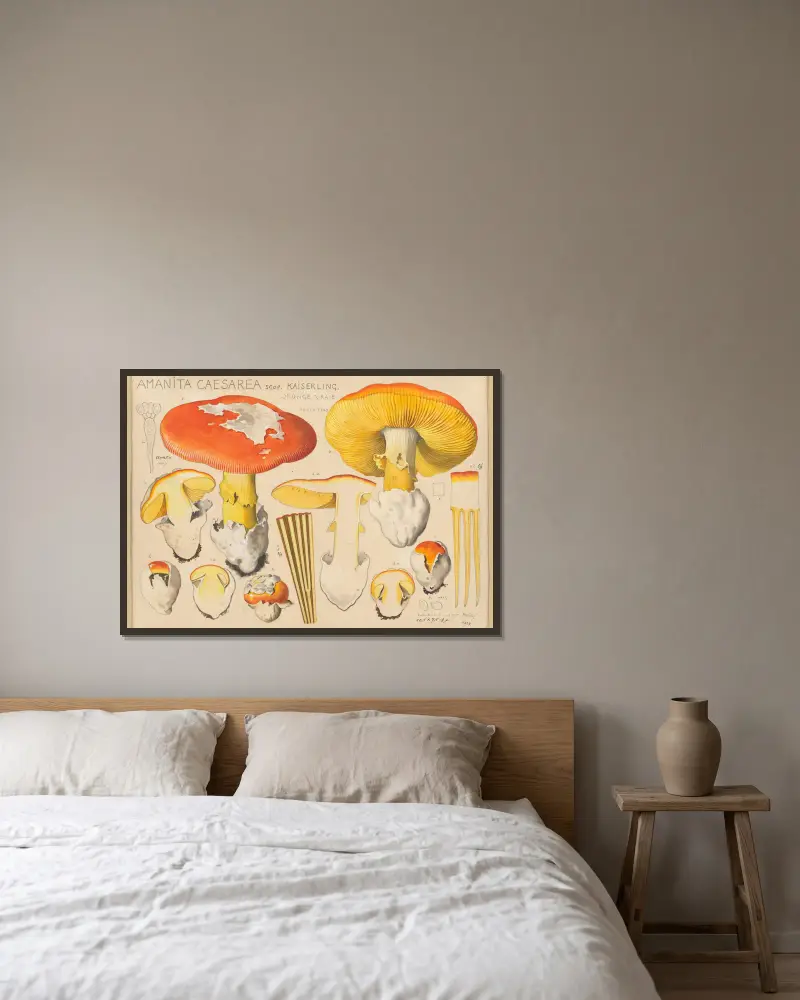 Amanita caesarea Scop. av Hans Walty inramad på en vägg