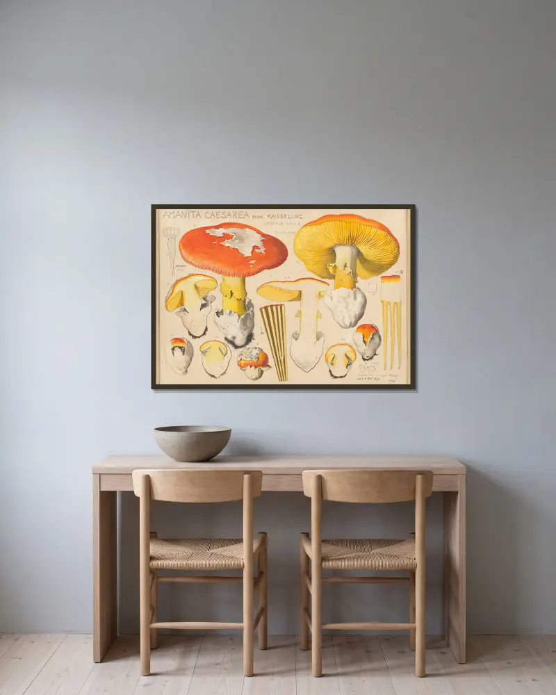 Amanita caesarea Scop. av Hans Walty inramad på en vägg
