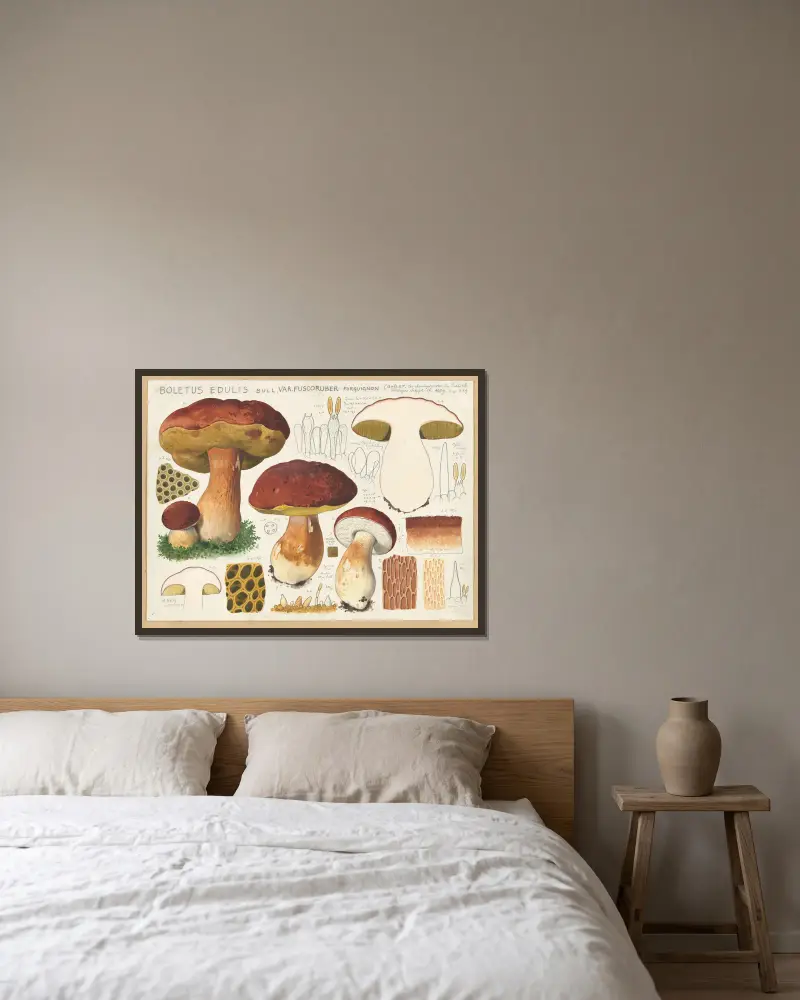 Boletus edulis Bull. var. fuscoruber forquignon av Hans Walty inramad på en vägg