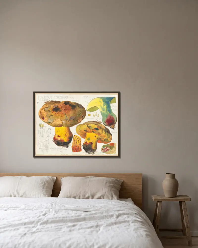 Boletus torosus Fries av Hans Walty inramad på en vägg