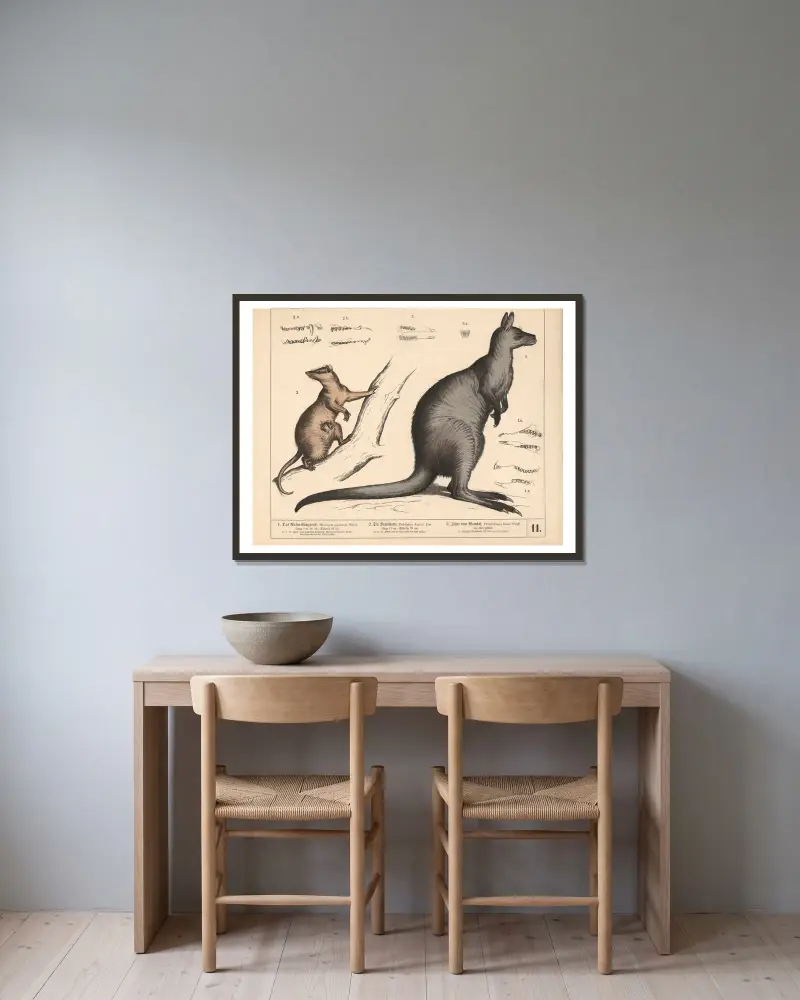 1. Jättekänguru. 2. Opossum. 3. Wombatens tänder av Heinrich Leutemann inramad på en vägg