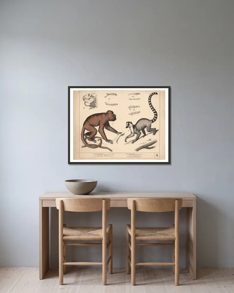1. Den röda vrålapan. 2. Kattmakin av Heinrich Leutemann inramad på en vägg
