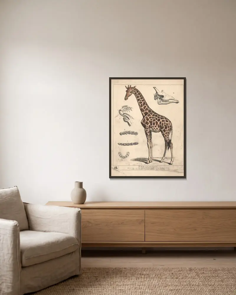 Die Giraffe., 1882 – Nr. 2 von Heinrich Leutemann gerahmt an einer Wand