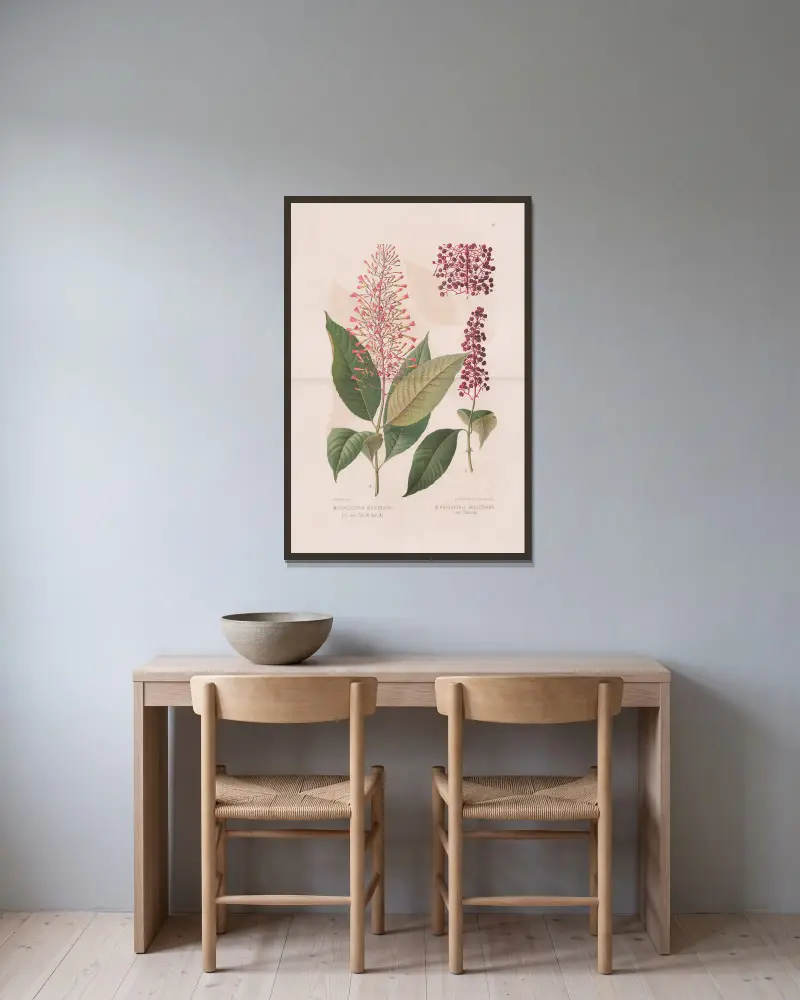 Psychotria mulleriana, Psychotria mulleriana var. flaccida av Heinrich Wawra inramad på en vägg