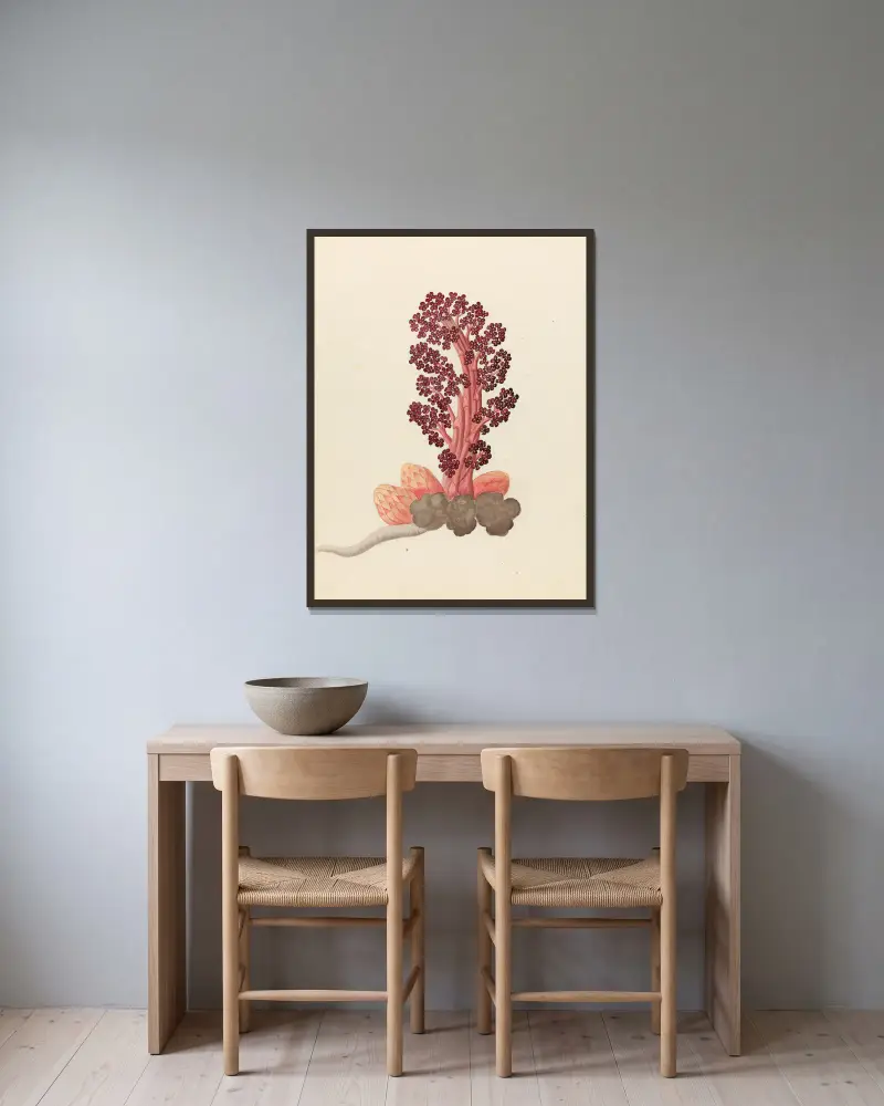 Aphyteia hydnora [Nymphaea nouchali] av Clemenz Heinrich Wehdemann inramad på en vägg