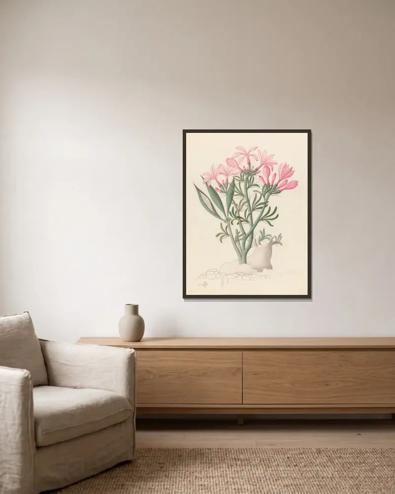 Ceropegia eller Echites [Pachypodium succulentum] av Clemenz Heinrich Wehdemann inramad på en vägg